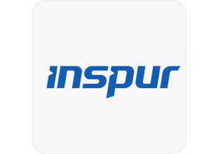 Inspur